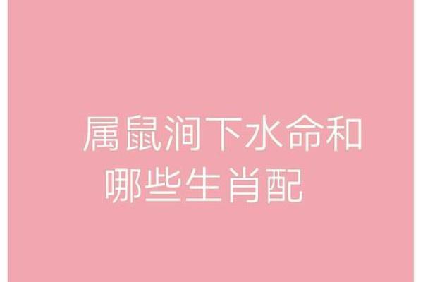 1997年属鼠的人：命运与性格的深度解析