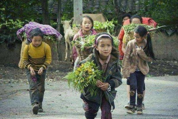 二十岁女孩的命运选择：追寻自我与梦想之路