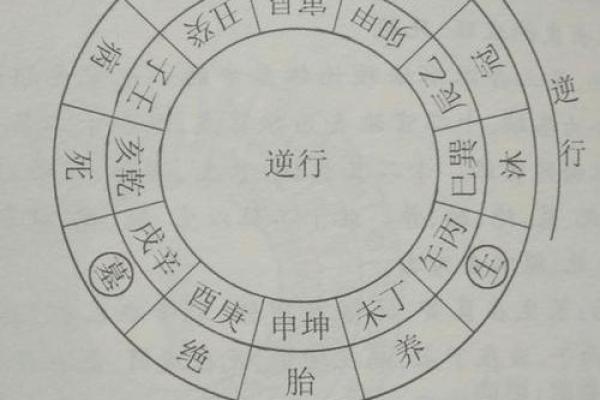 丙午丙子命理解析：揭示你命运中的火与水交融之道