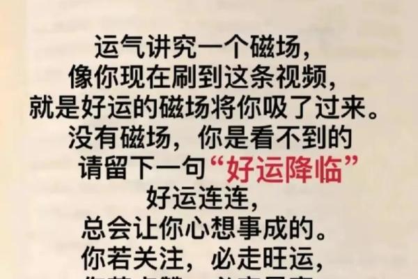 1995年：火的牛命与人生智慧的结合