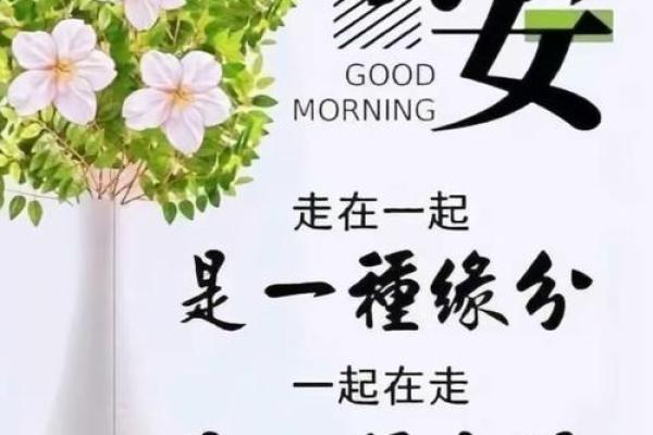 33岁兔年命理解析:好运与挑战并存,如何把握人生机会? 33岁兔年命理解析:好运与挑战并存,如何把握人生机会?