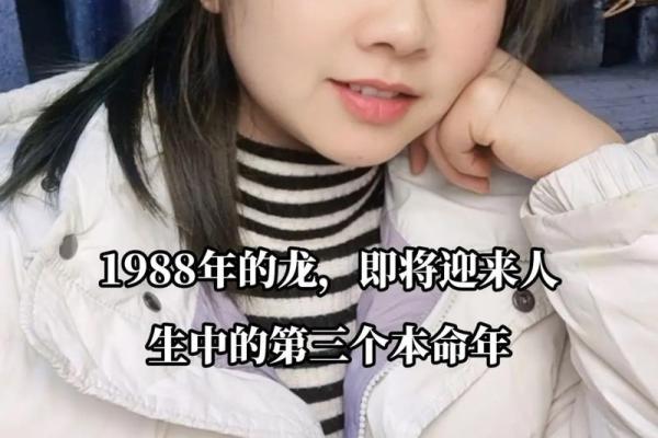 1988年12月出生的人，命运与个性揭秘！