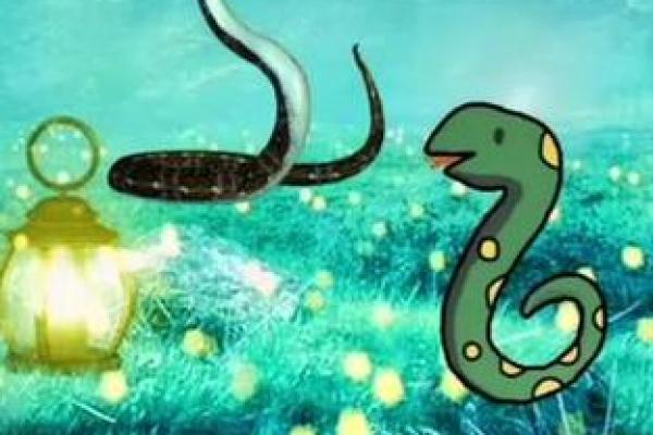 65年属蛇的人生智慧与命运解析