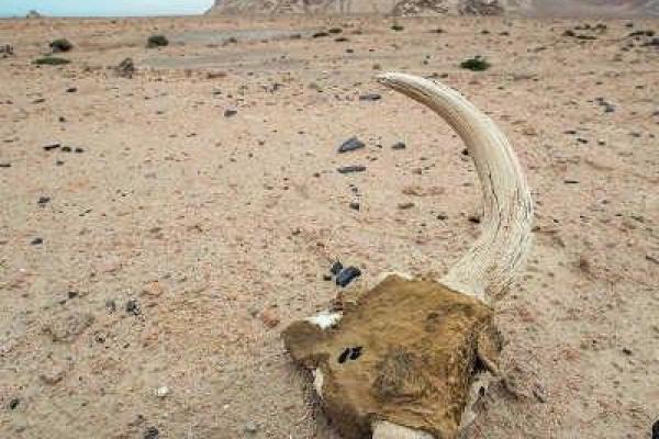 1994纳音揭秘：走进五行世界的神秘旅程