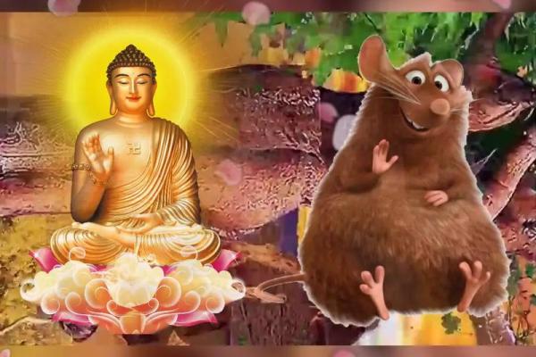 71年生属鼠，智慧与机遇的完美结合