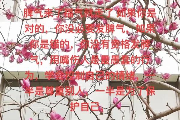脾气与命运：掌握情绪，让福气常伴左右！