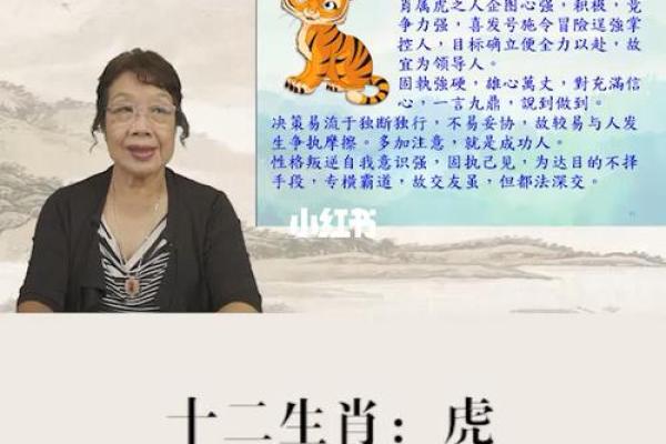 丙命格生肖解析：探寻丙命人背后的生肖特质与命理智慧