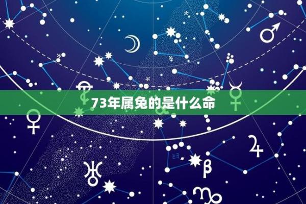 73年10月出生的人，他们的命运与性格特征解析
