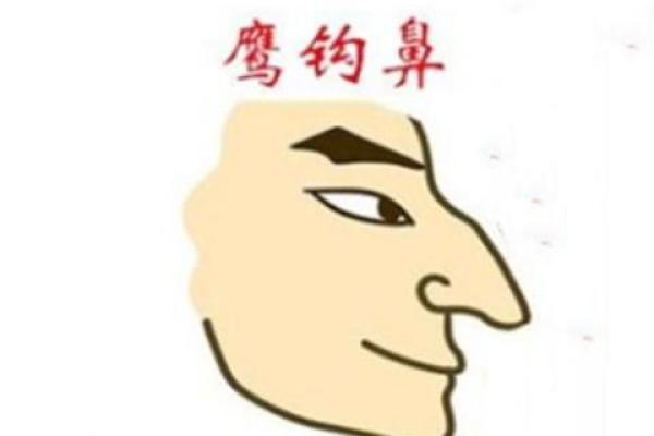 1995年属猪人的命运与性格解析:岁月流转中的幸运符号 1995年属猪人的命运与性格解析:岁月流转中的幸运符号