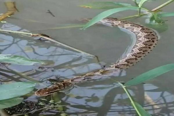 水命纹身的位置选择与意义探讨 水命纹身的位置选择与意义探讨