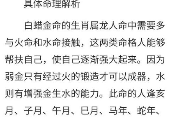 男性生肖与命格解析：探寻命运背后的秘密之旅