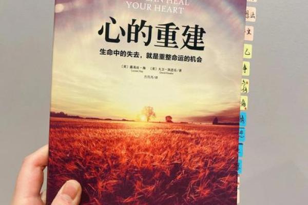 63年兔女人的命运解析：幸福与挑战并存的生活旅程