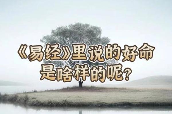 《命运的纠葛：尝试理解“硬命”背后的故事》