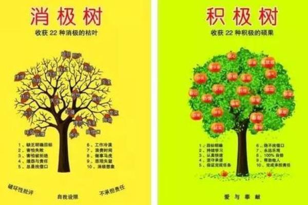 1927年出生的人生运势与命理解析：命运的精彩旅程