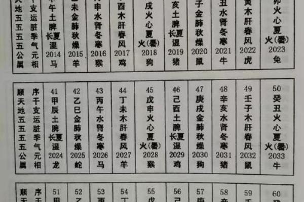 探秘辛丑牛年：命理解析与五行缺失的深层次意义