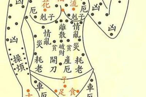 探秘肩上长痔的命运，听听古wisdom怎说！