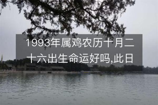 1993年10月出生的人命运与性格特点解析 1993年10月出生的人命运与性格特点解析