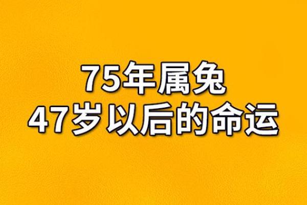 揭秘：最惨的命是什么生肖，揭开命运的神秘面纱