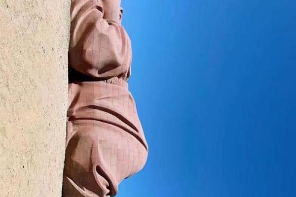 2007年猪年宝宝:命中注定的财富与智慧之路 2007年猪年宝宝:命中注定的财富与智慧之路