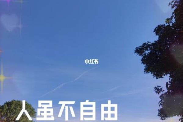 男命比肩透出：解密命理中的自我与内心的力量