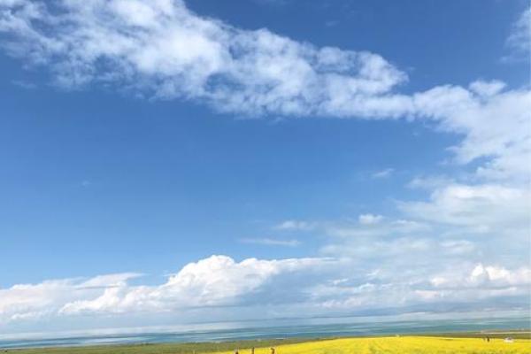 2002年出生的人：水命的特质与人生旅程