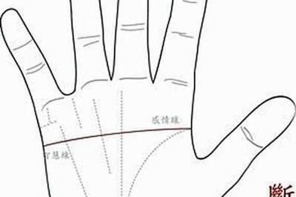 1997阳历1月出生者的命运解析：探索命理背后的神秘之旅