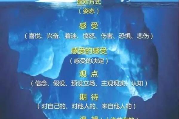 56岁属小龙的人生智慧与命运探秘