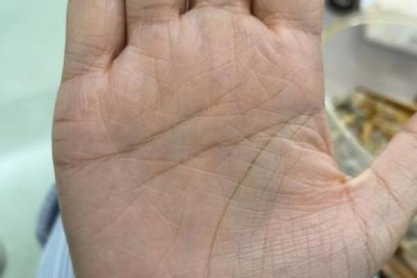 男性手背青筋的命运与性格解析