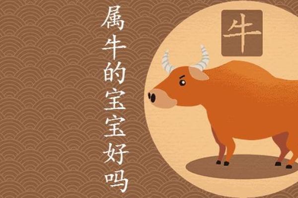 牛年出生的命运解析：你是如何在岁月中闪光的？