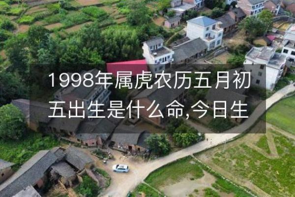 1998年属虎的命运与人生：勇敢与智慧的融合之旅