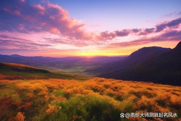 2000年属小龙的命运解析：探秘命中注定的财富与机遇