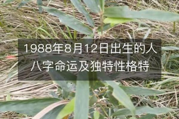 1988年8月出生的人:命运与性格解析 1988年8月出生的人:命运与性格解析