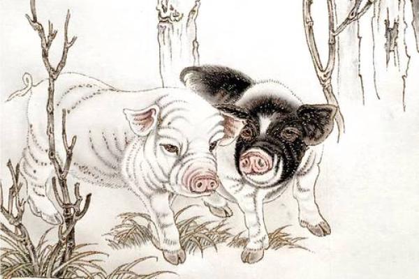 1946年属猪人的命运与生活智慧探秘 1946年属猪人的命运与生活智慧探秘