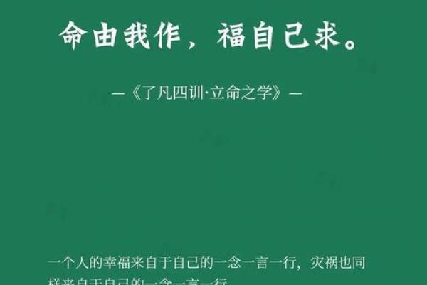 你生来什么命？探索命运与机遇的交织之旅