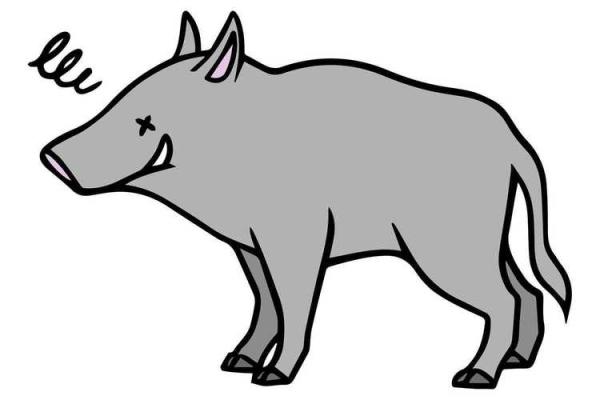 70年是什么鸡，是什么命——探秘鸡年命运与性格的奥秘