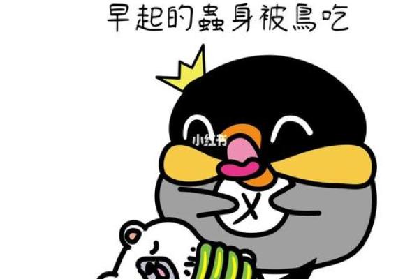 早起的鸟儿有虫吃：早上出生的最佳时辰分析