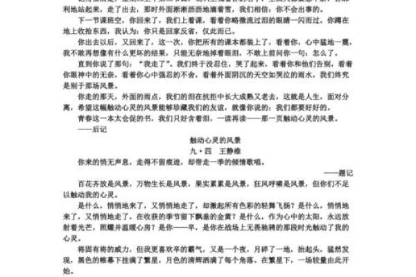 解密《三条命与九条命》：一首触动心灵的歌曲