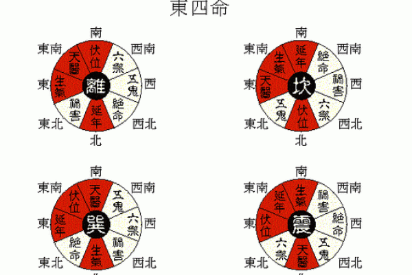 探秘四命的深层含义与实际应用：揭示命理的奥秘