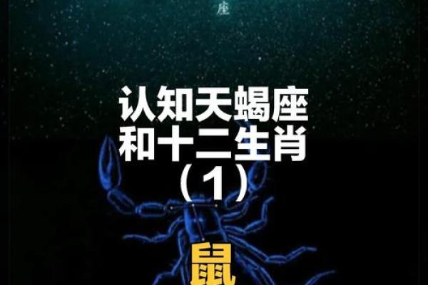 72年11月出生的人生轨迹与命运解析：你的星座、性格与事业欢迎探讨！