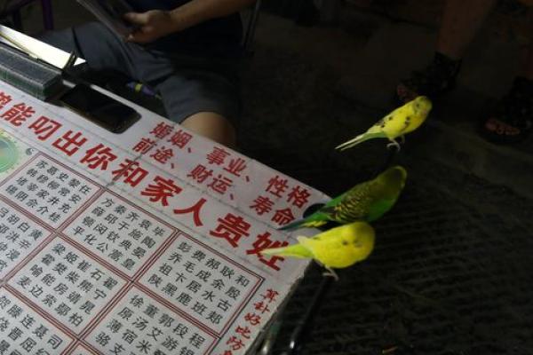 算命揭秘:不可告人的真相与内心的真实探寻 算命揭秘:不可告人的真相与内心的真实探寻