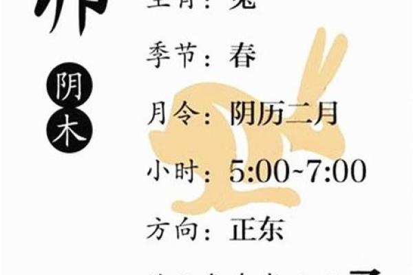 27岁属兔：2023年的命理解析与人生启示