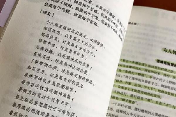 水蛇命的深度解析：诠释命理背后的智慧与人生启示