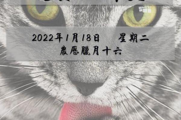 2004年腊月十六：命运交错的日子与后的启示