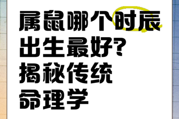2008年属鼠：2023年多大？命运解析与生活建议