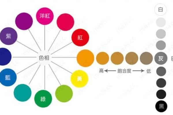 属狗水命人适合穿哪些颜色？从色彩心理学看时尚搭配