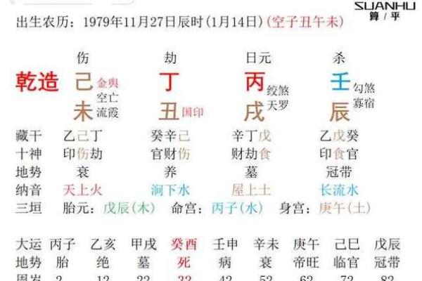探秘乙亥年：命格解析与人生启示