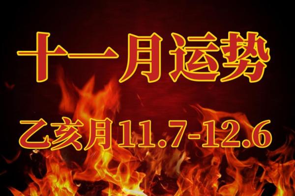 探秘乙亥年：命格解析与人生启示