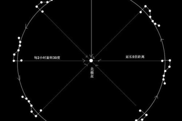 探秘杨柳命的星宿传奇：追寻命运的奥秘与启示