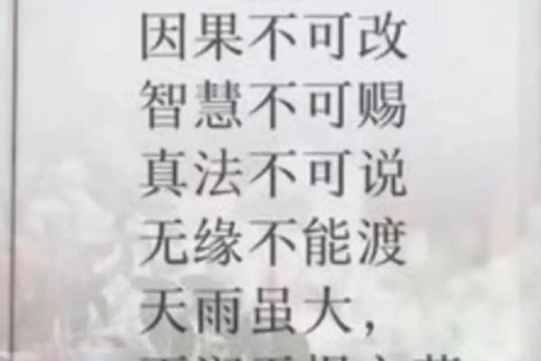 探索命理的奥妙：王小美一命与六命的深刻区别