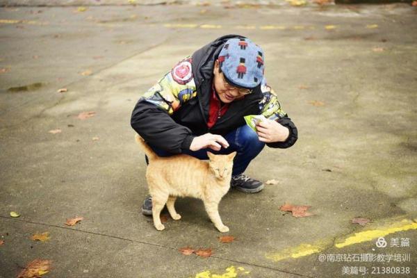 1994年狗年宝宝的命理解析与人生轨迹 1994年狗年宝宝的命理解析与人生轨迹